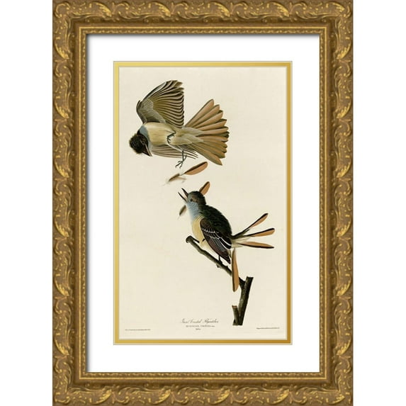 Vintage Apple Collection 13x18 Gold Ornate Wood Framed with Double Matting Museum Art Print Titled - Great Crested Flycatcher
