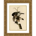 thumbnail image 1 of Vintage Apple Collection 13x18 Gold Ornate Wood Framed with Double Matting Museum Art Print Titled - Rough Legged Falcon, 1 of 4
