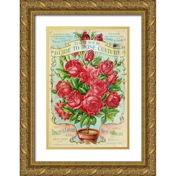 Vintage Apple Collection 13x18 Gold Ornate Wood Framed with Double Matting Museum Art Print Titled - rose_culture
