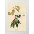 thumbnail image 1 of Vintage Apple Collection 13x18 White Modern Wood Framed Museum Art Print Titled - Azure Warbler, 1 of 4