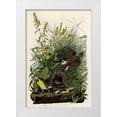 thumbnail image 1 of Vintage Apple Collection 13x18 White Modern Wood Framed Museum Art Print Titled - Meadow Lark, 1 of 4
