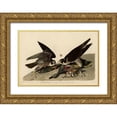thumbnail image 1 of Vintage Apple Collection 14x11 Gold Ornate Wood Framed with Double Matting Museum Art Print Titled - Greatfooted Hawk, 1 of 4
