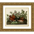 thumbnail image 1 of Vintage Apple Collection 14x12 Gold Ornate Wood Framed with Double Matting Museum Art Print Titled - Key West Dove, 1 of 4