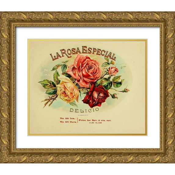 Vintage Apple Collection 14x12 Gold Ornate Wood Framed with Double Matting Museum Art Print Titled - La Rosa