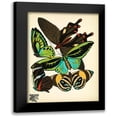 thumbnail image 1 of Vintage Apple Collection 14x18 Black Modern Framed Museum Art Print Titled - Papillons_1, 1 of 5