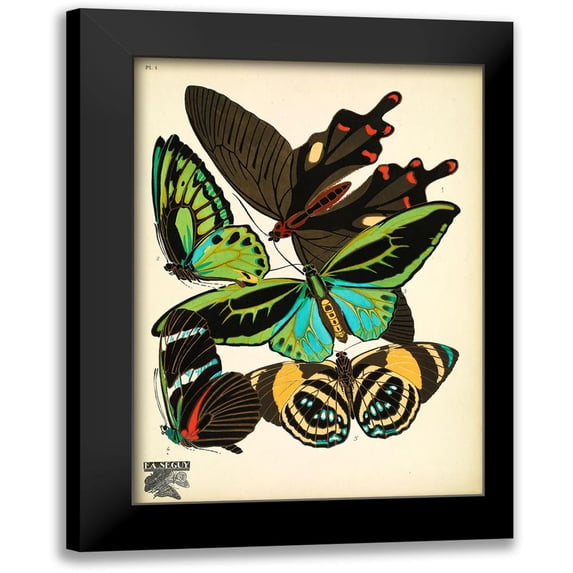Vintage Apple Collection 14x18 Black Modern Framed Museum Art Print Titled - Papillons_1
