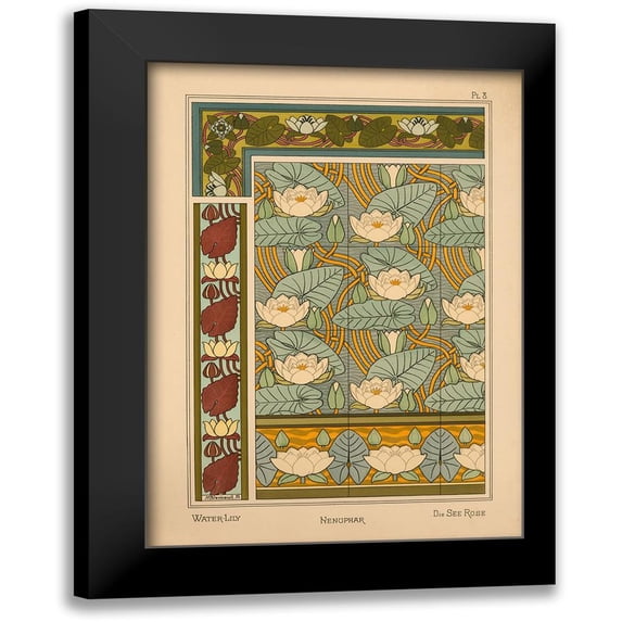 Vintage Apple Collection 14x18 Black Modern Framed Museum Art Print Titled - Plate 08 - Water-Lily