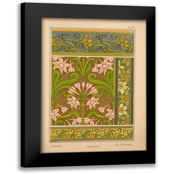 Vintage Apple Collection 14x18 Black Modern Framed Museum Art Print Titled - Plate 29 - Jonquil