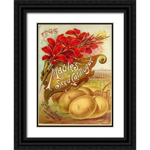 Vintage Apple Collection 14x18 Black Ornate Wood Framed with Double Matting Museum Art Print Titled - 1893 Maules Seed