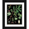 thumbnail image 1 of Vintage Apple Collection 14x18 Black Ornate Wood Framed with Double Matting Museum Art Print Titled - Oak, 1 of 4