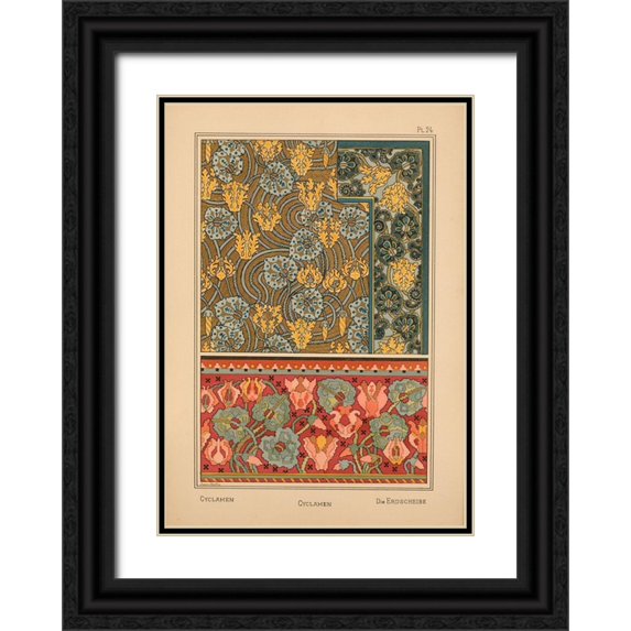 Vintage Apple Collection 14x18 Black Ornate Wood Framed with Double Matting Museum Art Print Titled -  Plate 24 - Cyclamen