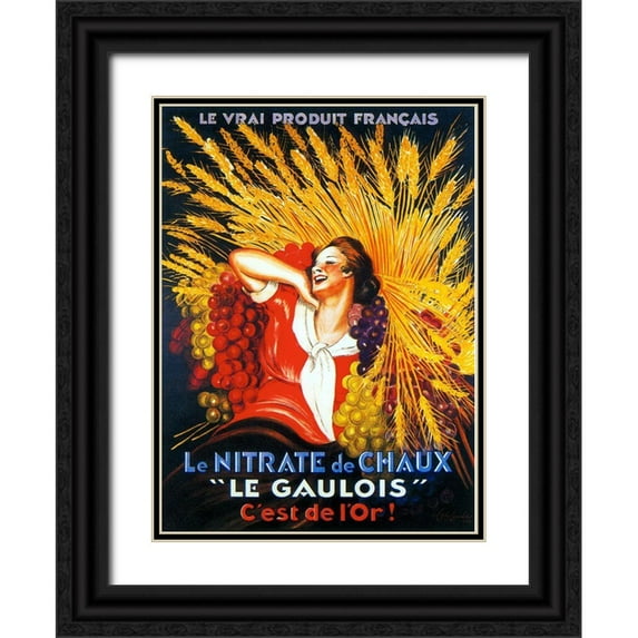 Vintage Apple Collection 14x18 Black Ornate Wood Framed with Double Matting Museum Art Print Titled - le_gaulois