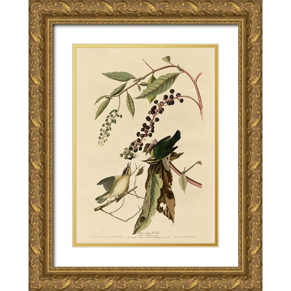 Vintage Apple Collection 14x18 Gold Ornate Wood Framed with Double Matting Museum Art Print Titled - Worm Eating Warbler