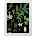 thumbnail image 1 of Vintage Apple Collection 14x18 White Modern Wood Framed Museum Art Print Titled - Oak, 1 of 4