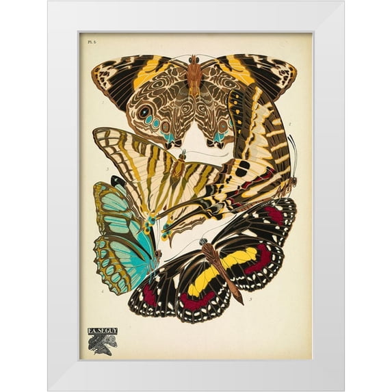 Vintage Apple Collection 14x18 White Modern Wood Framed Museum Art Print Titled - Papillons_5