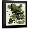 thumbnail image 1 of Vintage Apple Collection 15x18 Black Modern Framed Museum Art Print Titled - Night Hawk, 1 of 5
