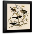 thumbnail image 1 of Vintage Apple Collection 15x18 Black Modern Framed Museum Art Print Titled - Rusty Grakle, 1 of 5