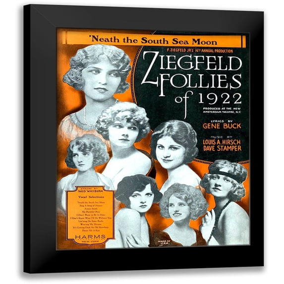 Vintage Apple Collection 15x18 Black Modern Framed Museum Art Print Titled - Zig 004