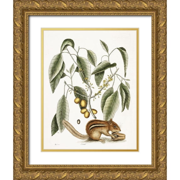 Vintage Apple Collection 15x18 Gold Ornate Wood Framed with Double Matting Museum Art Print Titled - Chipmunk