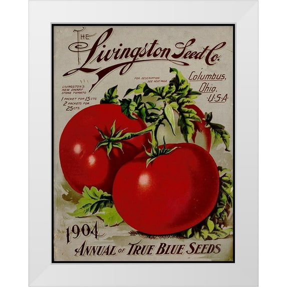 Vintage Apple Collection 15x18 White Modern Wood Framed Museum Art Print Titled - Livingston Tomato