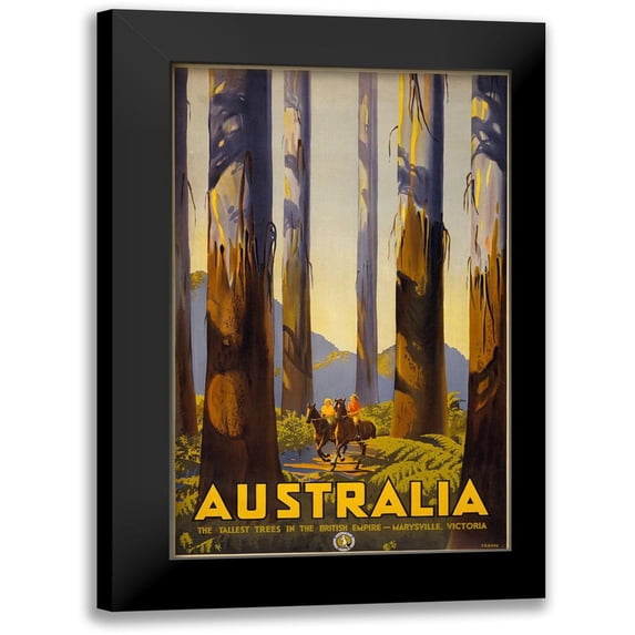 Vintage Apple Collection 16x24 Black Modern Framed Museum Art Print Titled - Australia Trees