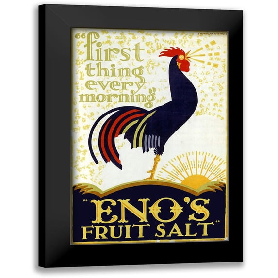 Vintage Apple Collection 17x24 Black Modern Framed Museum Art Print Titled - Enos Fruit Salt