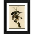 thumbnail image 1 of Vintage Apple Collection 17x24 Black Ornate Wood Framed with Double Matting Museum Art Print Titled - Rough Legged Falcon, 1 of 4