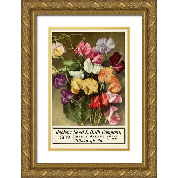 Vintage Apple Collection 17x24 Gold Ornate Wood Framed with Double Matting Museum Art Print Titled - Becket Seed