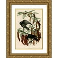 thumbnail image 1 of Vintage Apple Collection 17x24 Gold Ornate Wood Framed with Double Matting Museum Art Print Titled - Fish Crow, 1 of 4