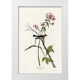 thumbnail image 1 of Vintage Apple Collection 17x24 White Modern Wood Framed Museum Art Print Titled - Blackburnian Warbler, 1 of 4