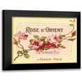 thumbnail image 1 of Vintage Apple Collection 18x15 Black Modern Framed Museum Art Print Titled - Rose D Orient, 1 of 5