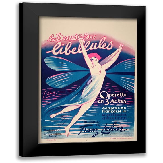 Vintage Apple Collection 18x24 Black Modern Framed Museum Art Print Titled - Fairy Dance Libellules