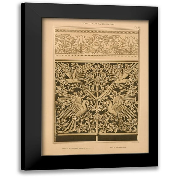 Vintage Apple Collection 18x24 Black Modern Framed Museum Art Print Titled - Plate 38 - Cigales Et Anemones. Bordure De Napperon.