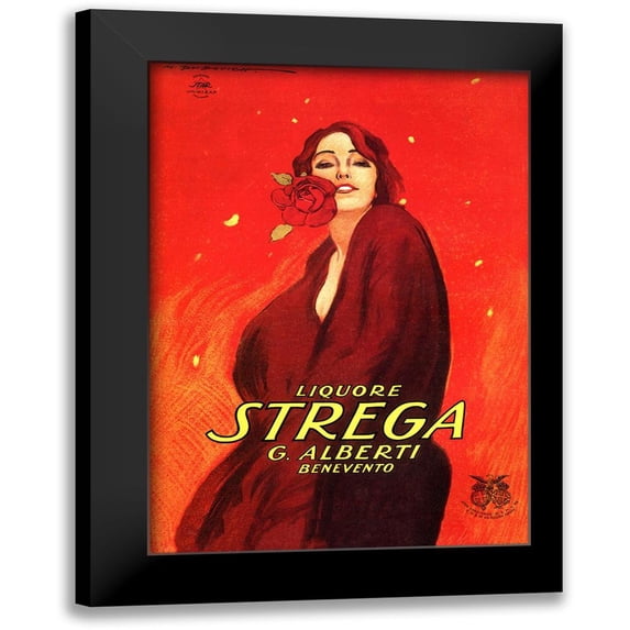 Vintage Apple Collection 18x24 Black Modern Framed Museum Art Print Titled - Strega