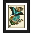 thumbnail image 1 of Vintage Apple Collection 18x24 Black Ornate Wood Framed with Double Matting Museum Art Print Titled - Papillons_13, 1 of 4