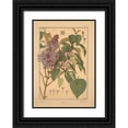 thumbnail image 1 of Vintage Apple Collection 18x24 Black Ornate Wood Framed with Double Matting Museum Art Print Titled -  Plate 49 - Lilac, 1 of 4