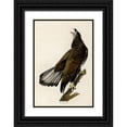 thumbnail image 1 of Vintage Apple Collection 18x24 Black Ornate Wood Framed with Double Matting Museum Art Print Titled - White Headed Eagle Deaux, 1 of 4