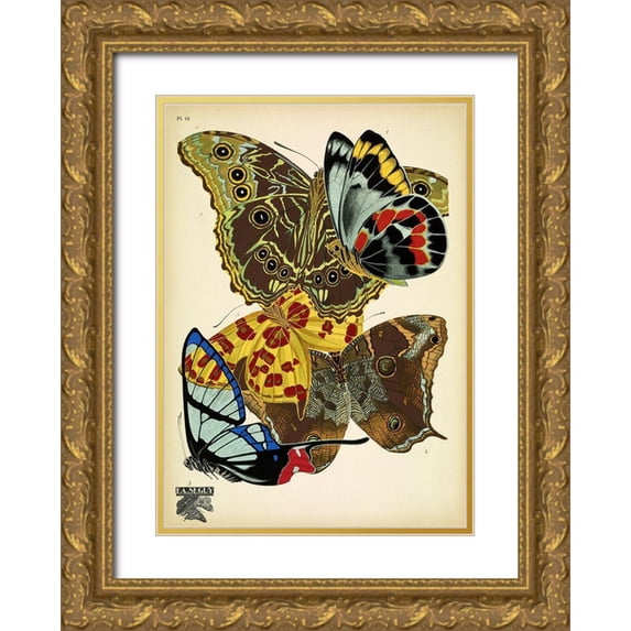 Vintage Apple Collection 18x24 Gold Ornate Wood Framed with Double Matting Museum Art Print Titled - Papillons_15