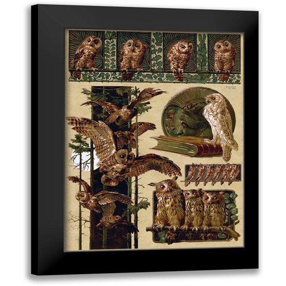 Vintage Apple Collection 19x24 Black Modern Framed Museum Art Print Titled - Owls