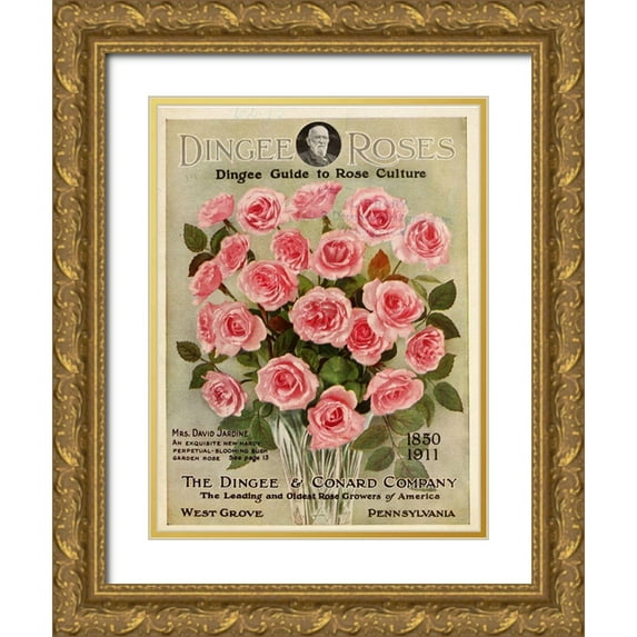 Vintage Apple Collection 19x24 Gold Ornate Wood Framed with Double Matting Museum Art Print Titled - dingee_pinkroses