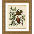 thumbnail image 1 of Vintage Apple Collection 20x24 Gold Ornate Wood Framed with Double Matting Museum Art Print Titled - Zenaida Dove, 1 of 4