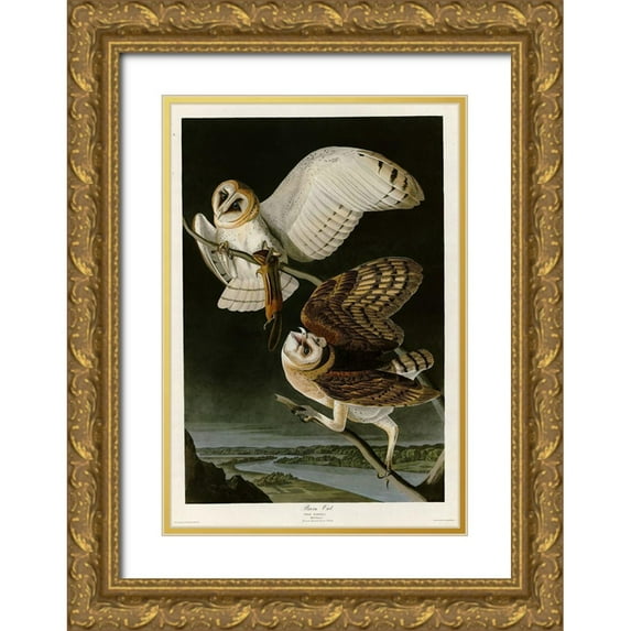 Vintage Apple Collection 23x32 Gold Ornate Wood Framed with Double Matting Museum Art Print Titled - Barn Owl