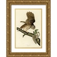 thumbnail image 1 of Vintage Apple Collection 23x32 Gold Ornate Wood Framed with Double Matting Museum Art Print Titled - Barred Owl, 1 of 4