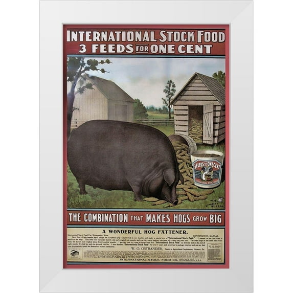 Vintage Apple Collection 23x32 White Modern Wood Framed Museum Art Print Titled - Hog Food