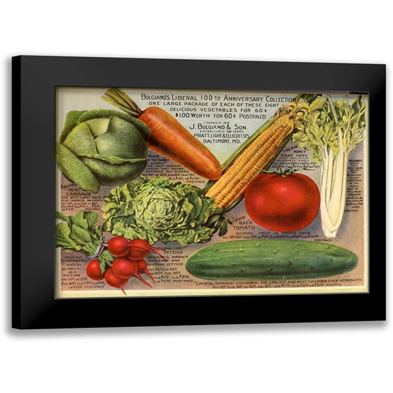 Vintage Apple Collection 24x19 Black Modern Framed Museum Art Print Titled - Bolgianos Veggies