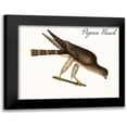 thumbnail image 1 of Vintage Apple Collection 24x20 Black Modern Framed Museum Art Print Titled - Pigeon Hawk, 1 of 5