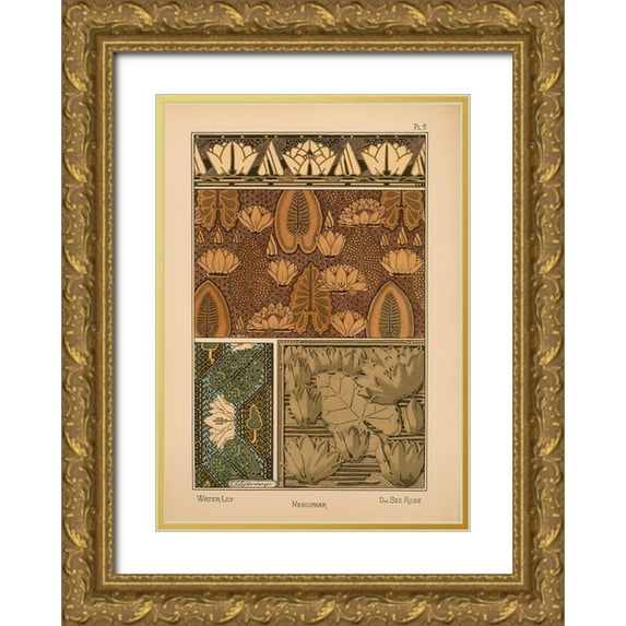 Vintage Apple Collection 24x32 Gold Ornate Wood Framed with Double Matting Museum Art Print Titled -  Plate 09 - Water-Lily