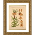 thumbnail image 1 of Vintage Apple Collection 24x32 Gold Ornate Wood Framed with Double Matting Museum Art Print Titled -  Plate 16 - Crown Imperial, 1 of 4