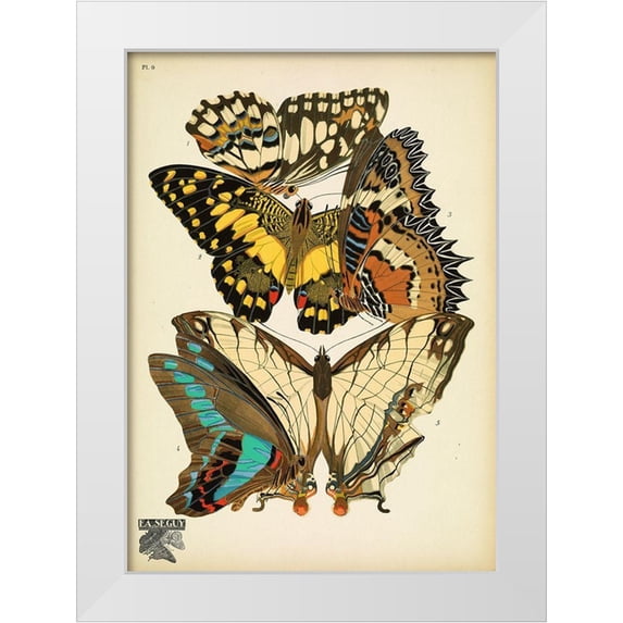 Vintage Apple Collection 24x32 White Modern Wood Framed Museum Art Print Titled - Papillons_9