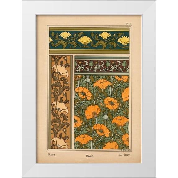 Vintage Apple Collection 24x32 White Modern Wood Framed Museum Art Print Titled - Plate 05 - Poppy